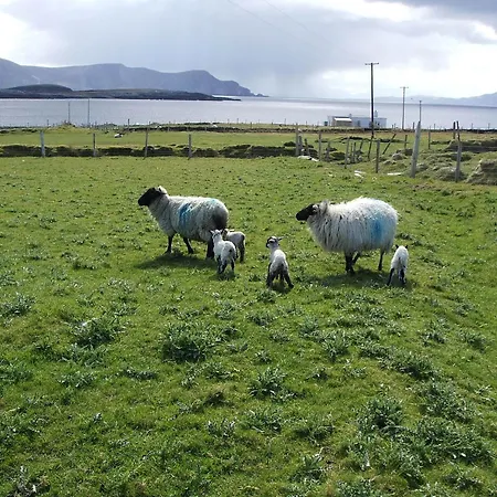 Bed & Breakfast Achill West Coast House 3*