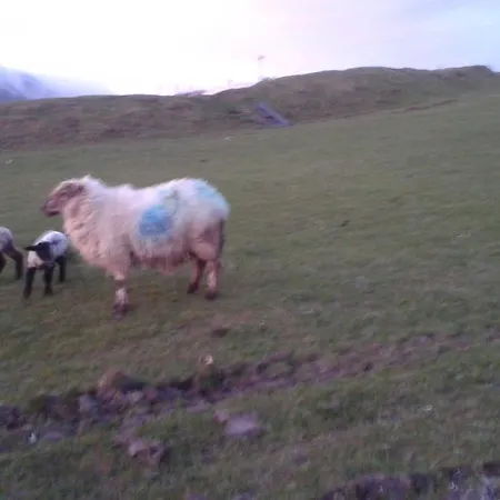 Bed & Breakfast Achill West Coast House Dooagh