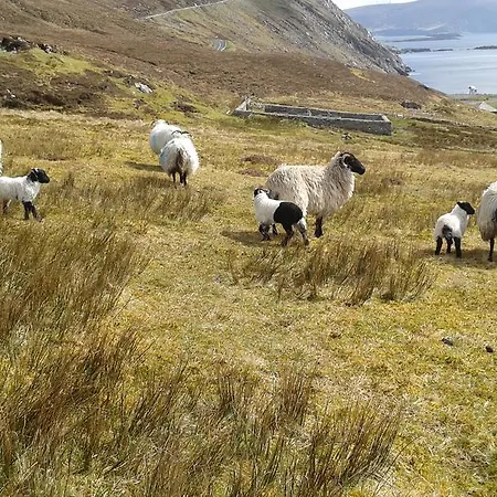 Bed & Breakfast Achill West Coast House 3*
