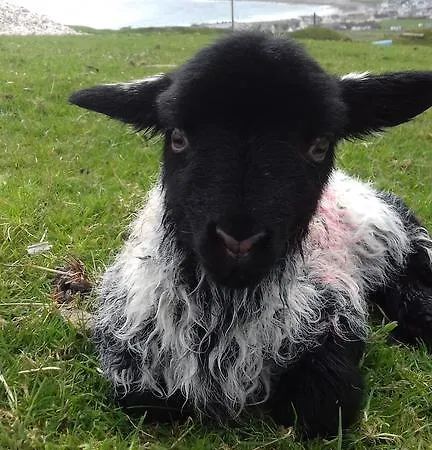 Bed & Breakfast Achill West Coast House Dooagh