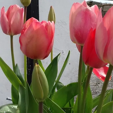 Achill West Coast House