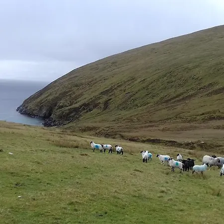 Bed & Breakfast Achill West Coast House 3*