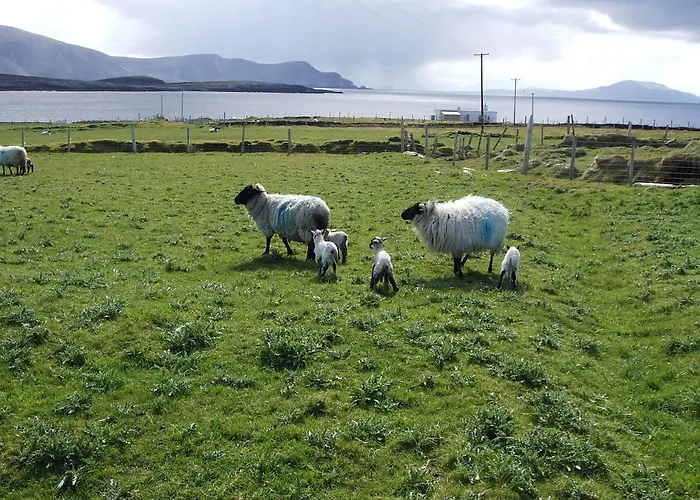 Couette-café Achill West Coast House 3*