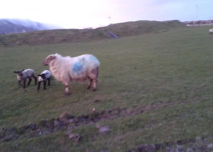 Bed & Breakfast Achill West Coast House Dooagh