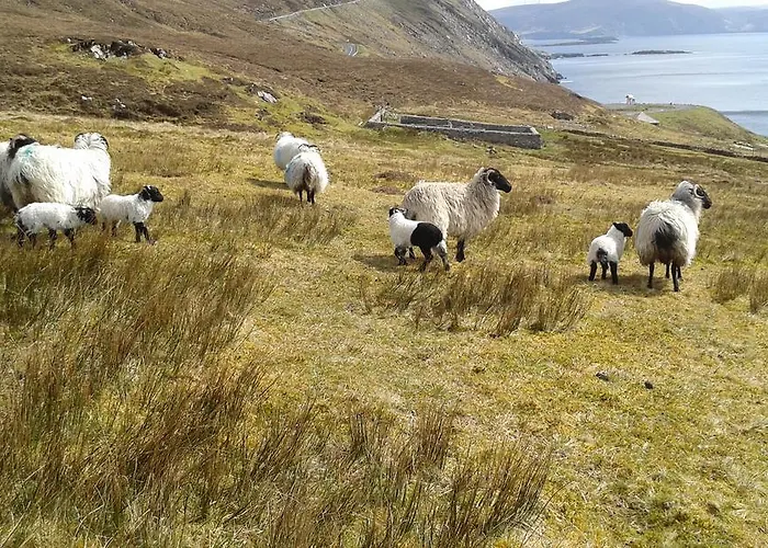 Bed & Breakfast Achill West Coast House 3*
